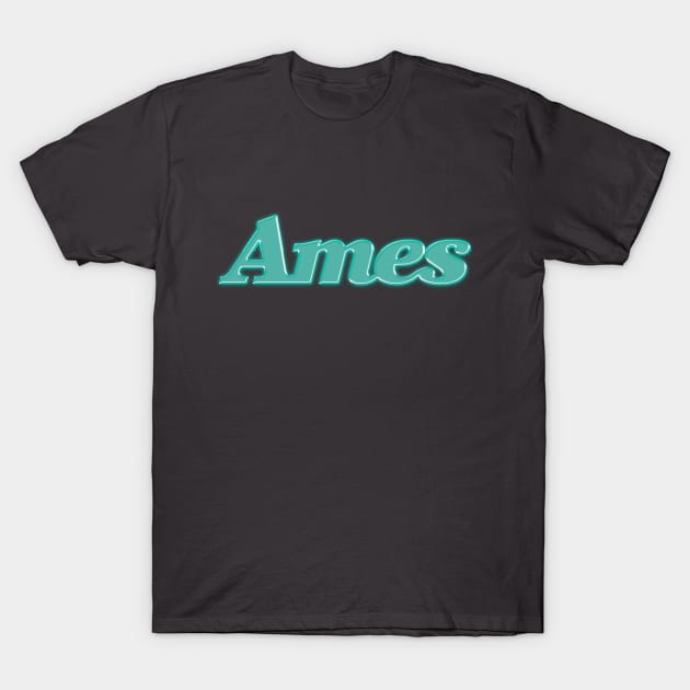 Ames Department Store T-Shirt by carcinojen